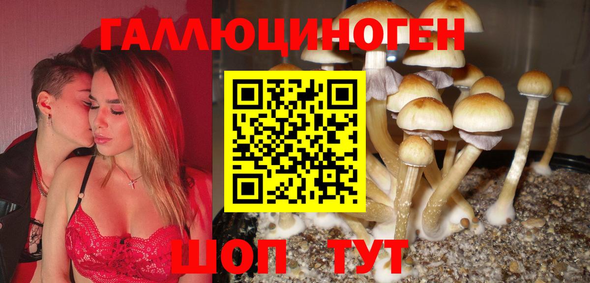 Псилоцибиновые грибы MAGIC MUSHROOMS Королёв